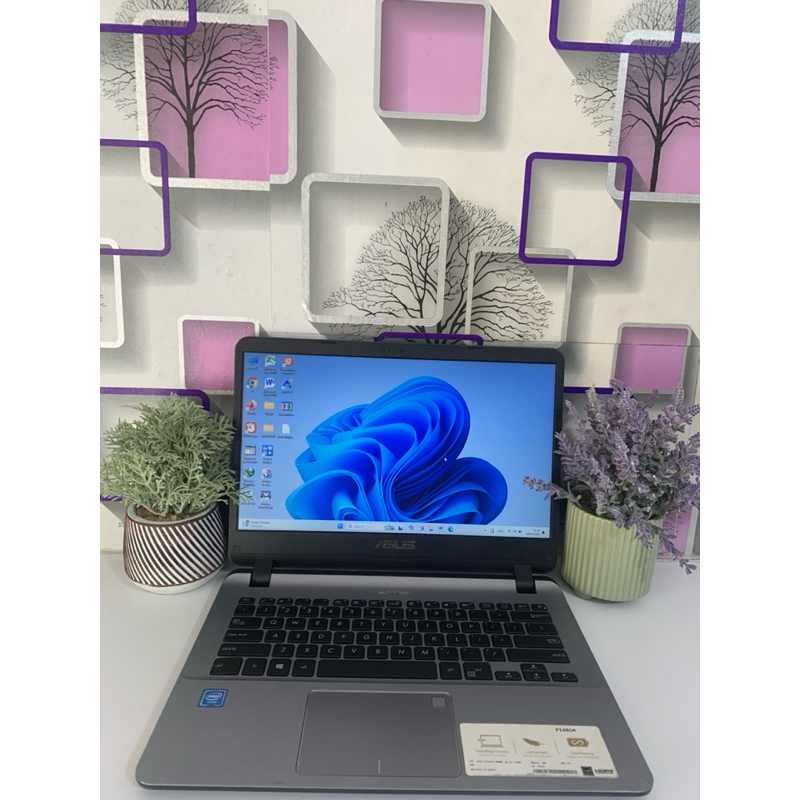 ASUS VIVOBKOK 407MA Intel(R)  Celeron(R) N4000