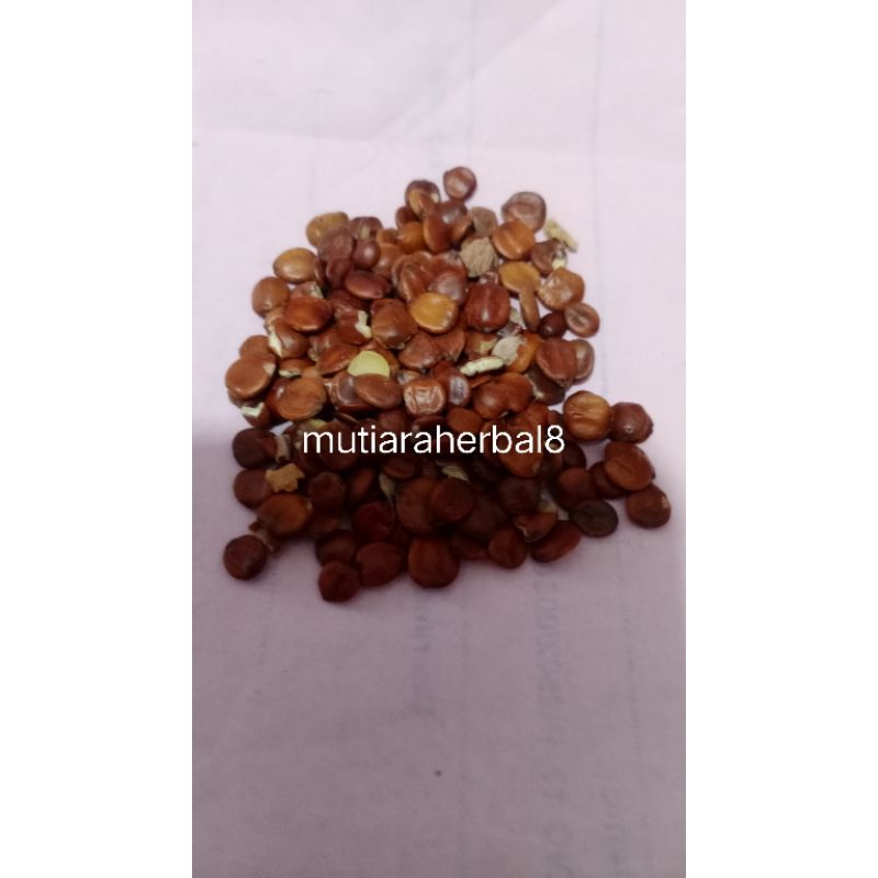 

chao suan zao ren heated semen zizyphi spinosae jujube seed 100gram