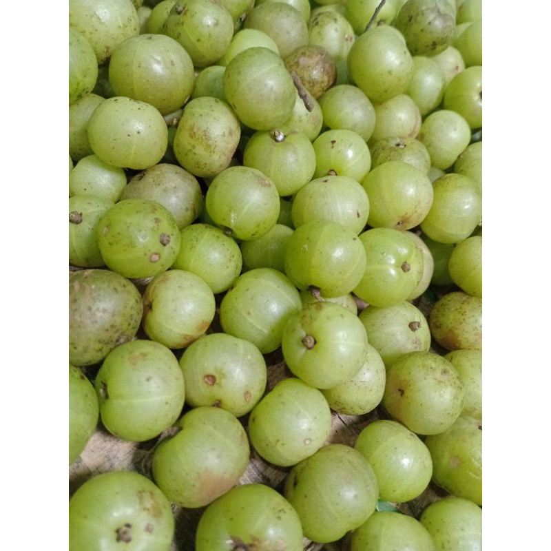 

buah malaka fresh 1kg