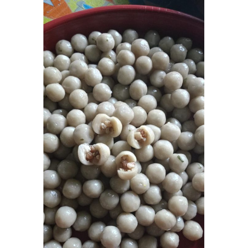 

CILOK ISI JANDO SAPI 50 BUTIR - Cilok Teh Monda