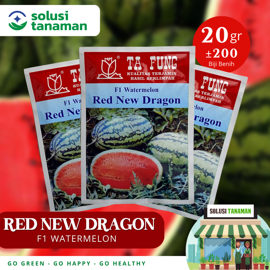 Benih Semangka Red New Dragon F1 20gr Bibit Semangka Ta Fung Benih Semangka Tafung Watermelon Bibit