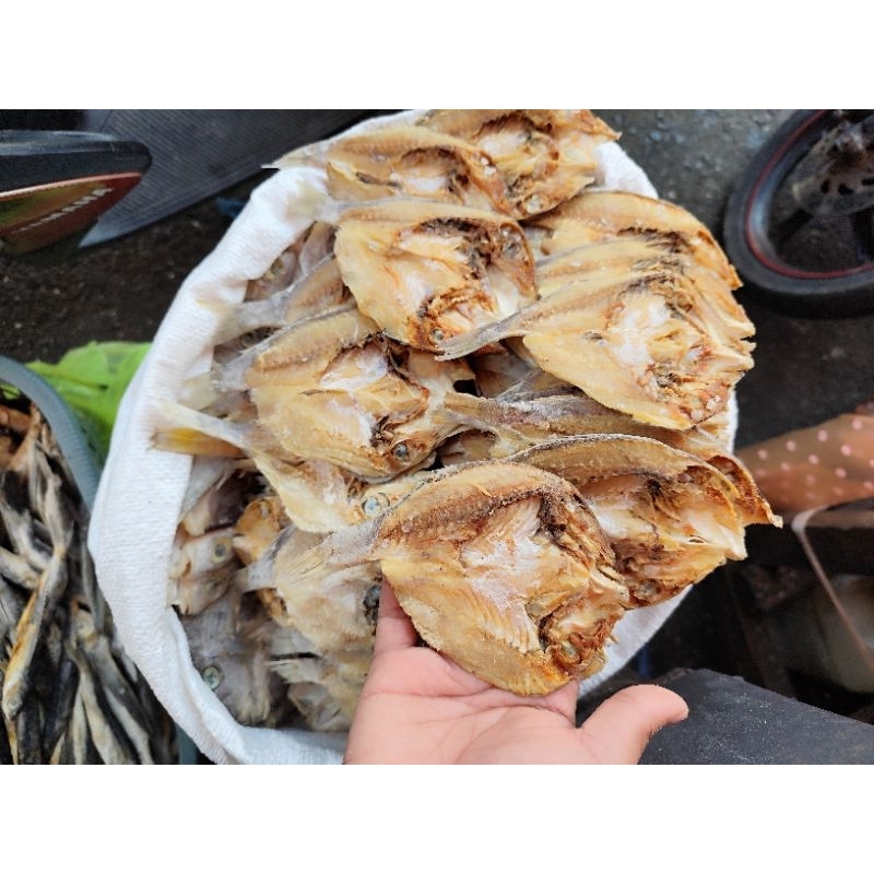 

IKAN KATAMBA UK. KECIL (250gram)