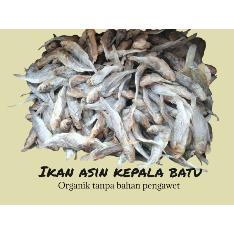 

IkanAsinkepalabatuOrganik