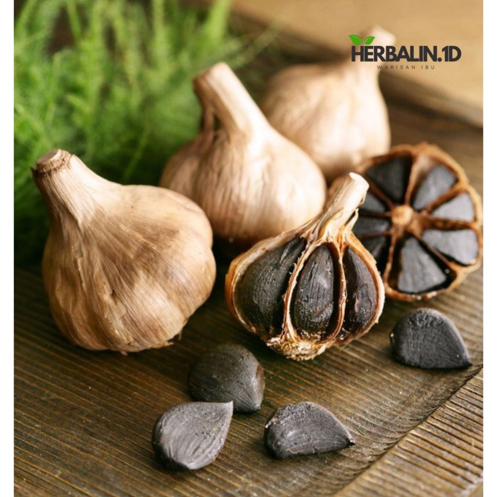 

Black Garlic / Bawang Hitam fermentasi Premium / Bawang Hitam Herbal