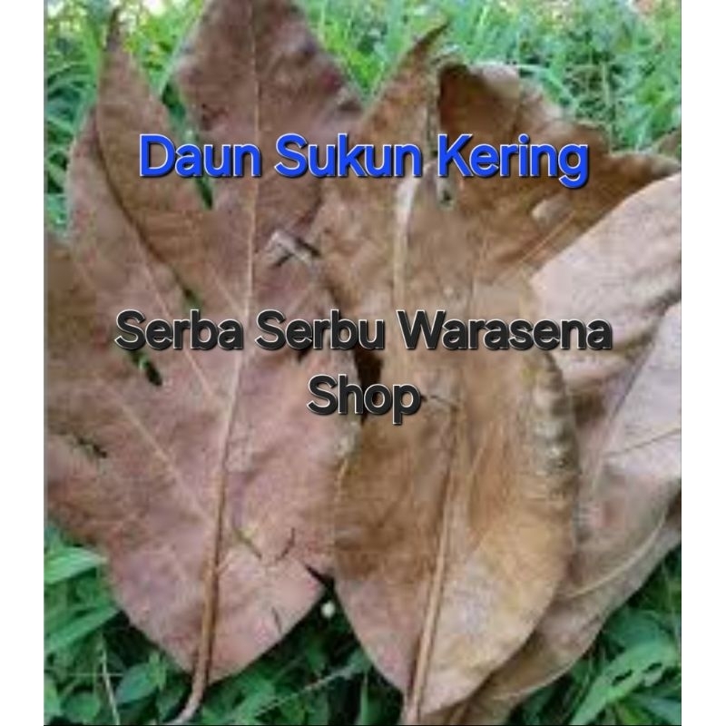 

Jual obat herbal Daun Sukun kluwih kering /obat herbal jantung harga per 1 lembar