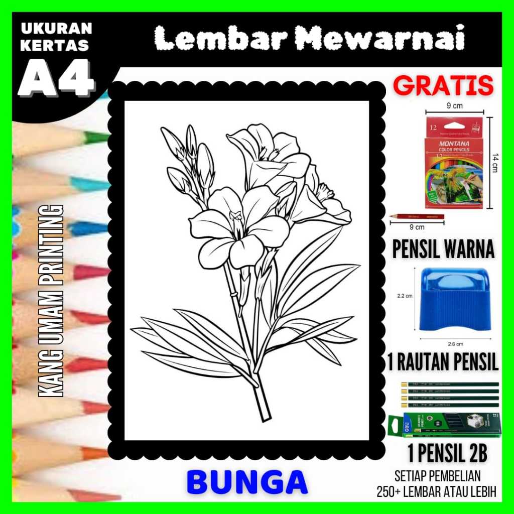 

Lembar Mewarnai Gambar Berbagai Macam Bunga Semua Usia Bagian 10, Sketsa , Kertas Mewarnai , Drawing