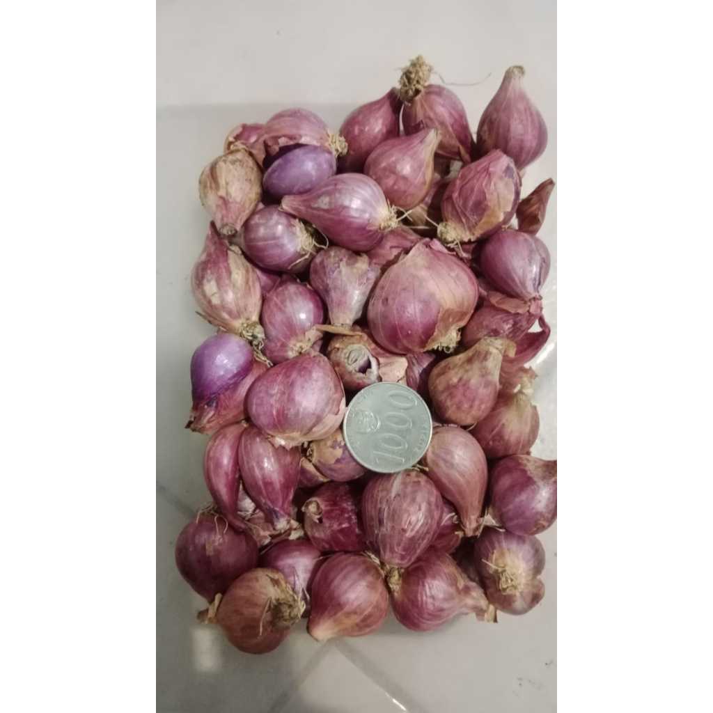 

BAWANG MERAH KERING NGANJUK / BAWANG MERAH NGANJUK
