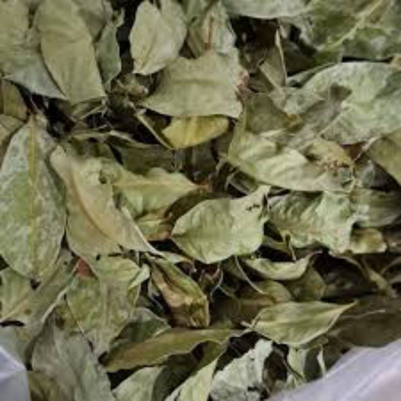 

Daun Salam Kering 1 kg kiloan