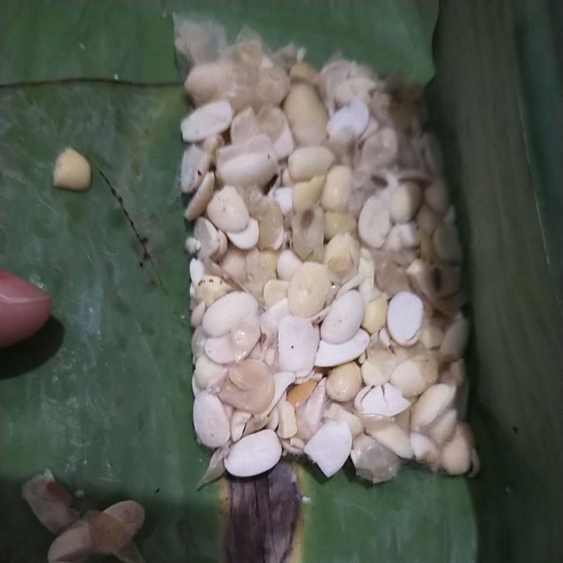 

Tempe Kedelai bungkus daun/Tempe Godong/Tempe Kedelai