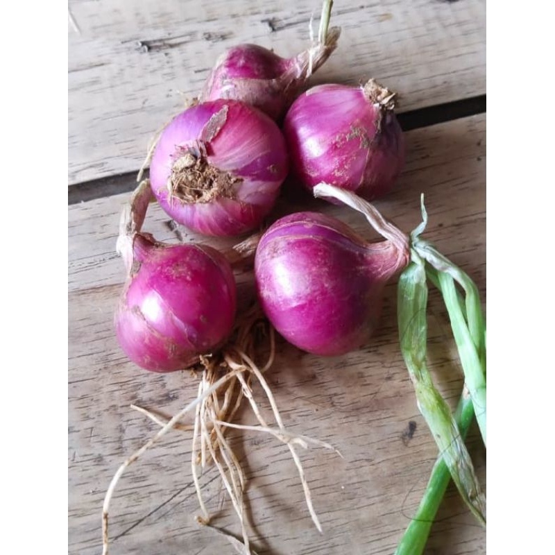 

Termurah Bawang Merah 500gr Bawang Merah Bumbu Masak Fresh Langsung Dari Petani