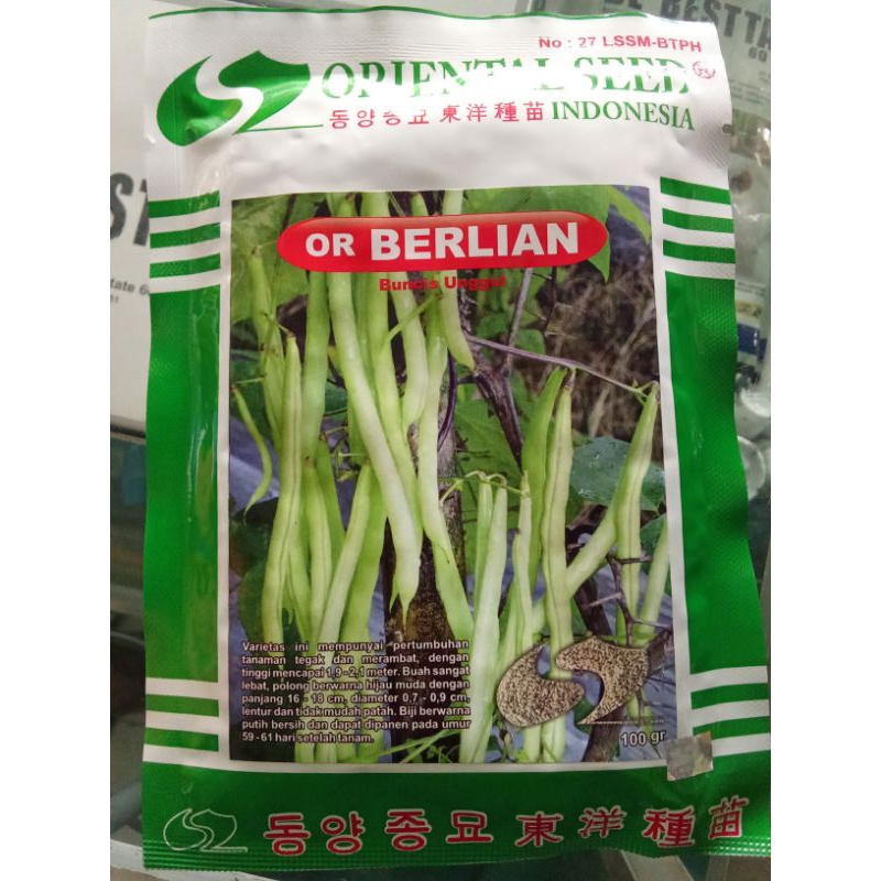 OR BUNCIS BERLIAN DARI ORIENTAL SEED