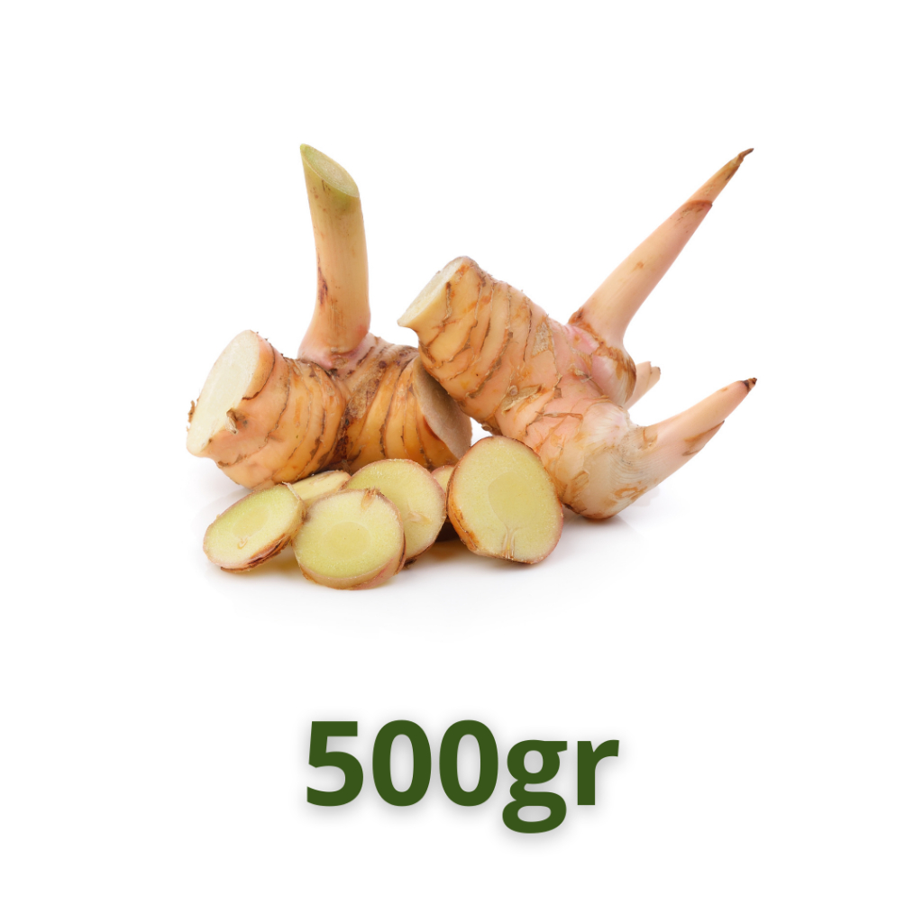 

Lengkuas 500gr / rempah lengkuas / sayur sehat / masakan lengkuas / masakan sehat