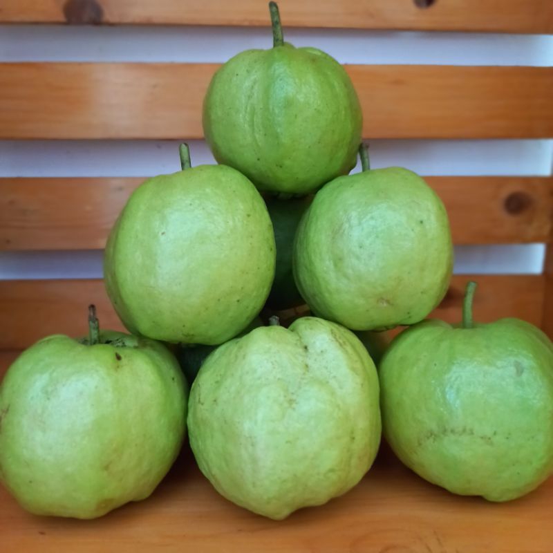 

Jambu Kristal 1kg