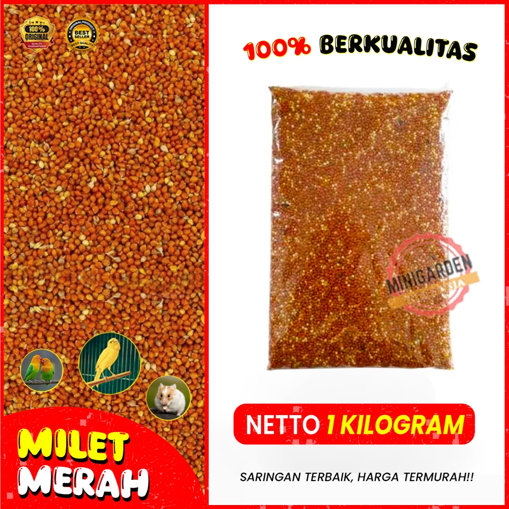 MILET MERAH 1KG pakan burung milet merah bersih merk vita millet