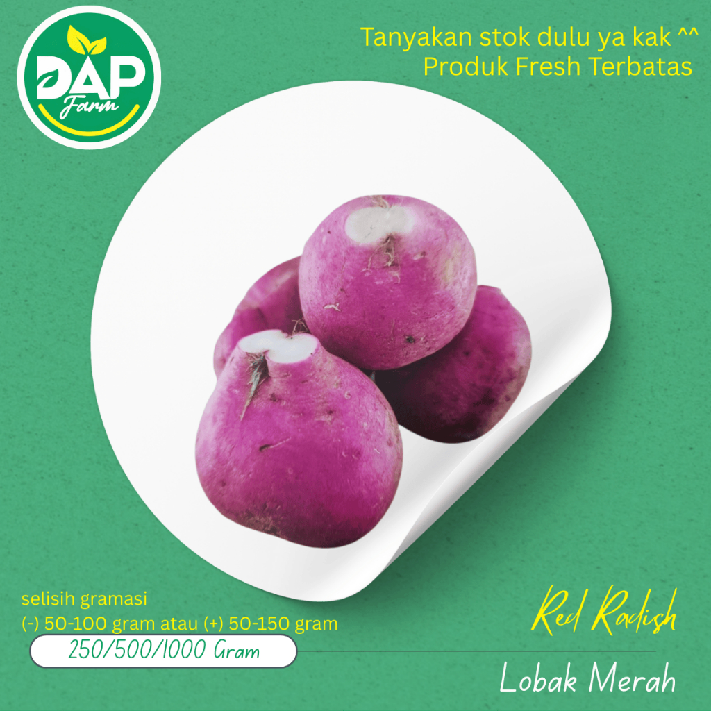 

Red Radish/ Lobak Merah/DAP Farm/ Sayur Segar Jakarta