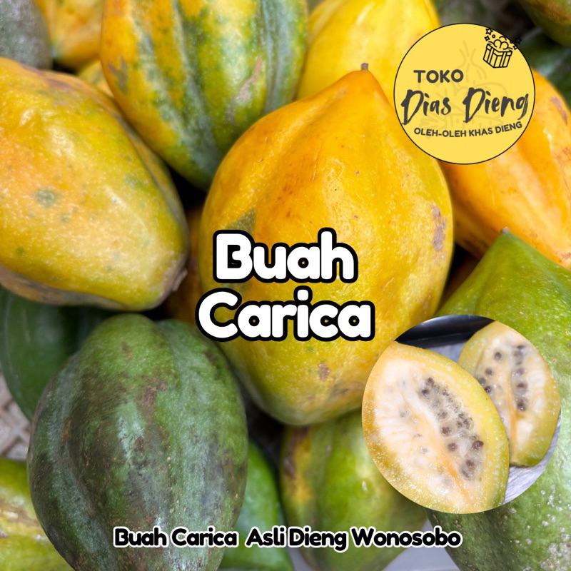 

Buah Carica Dieng Wonosobo 1 kg