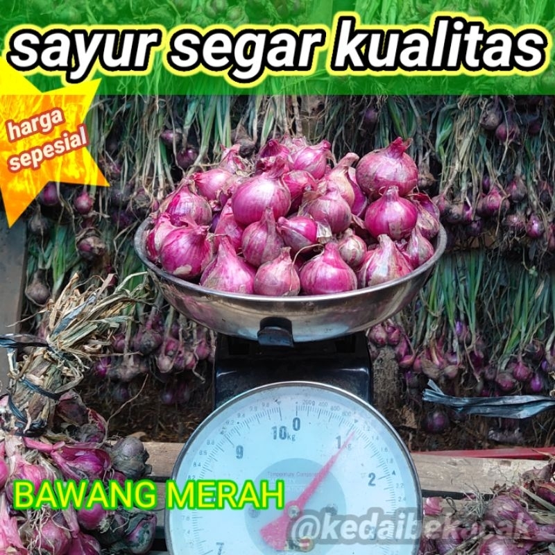 

Bawang merah