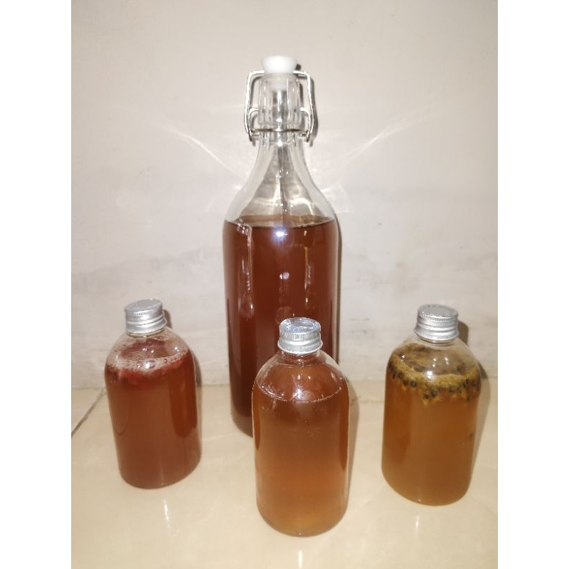 

KOMBUCHA - TEH FERMENTASI