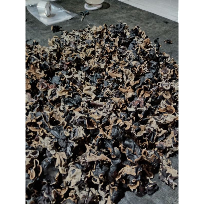 

JAMUR KUPING KERING 1kg BARANG BAGUS HITAM BERSIH DAN SUDAH DI SORTIR