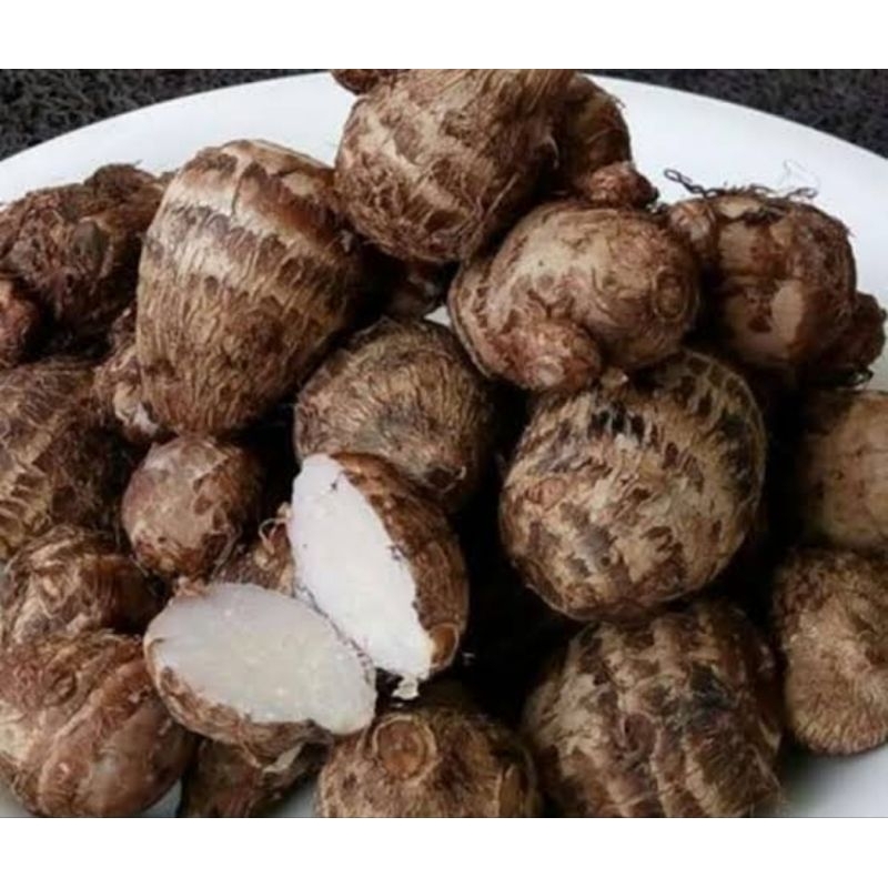 

Ubi talas asli organik berat 1kg ubi talas tidak gatal cocok untuk di rebus