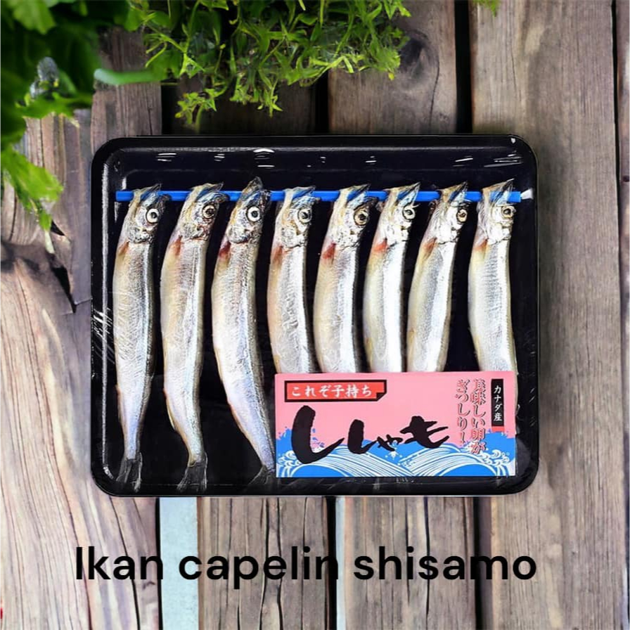 

ikan shisamo atau ikan capelin 160-170gr