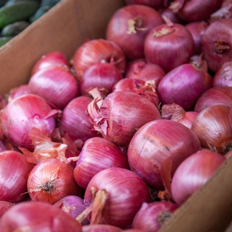 

Bawang Merah fres, Murah Meriah, Gratis Ongkir