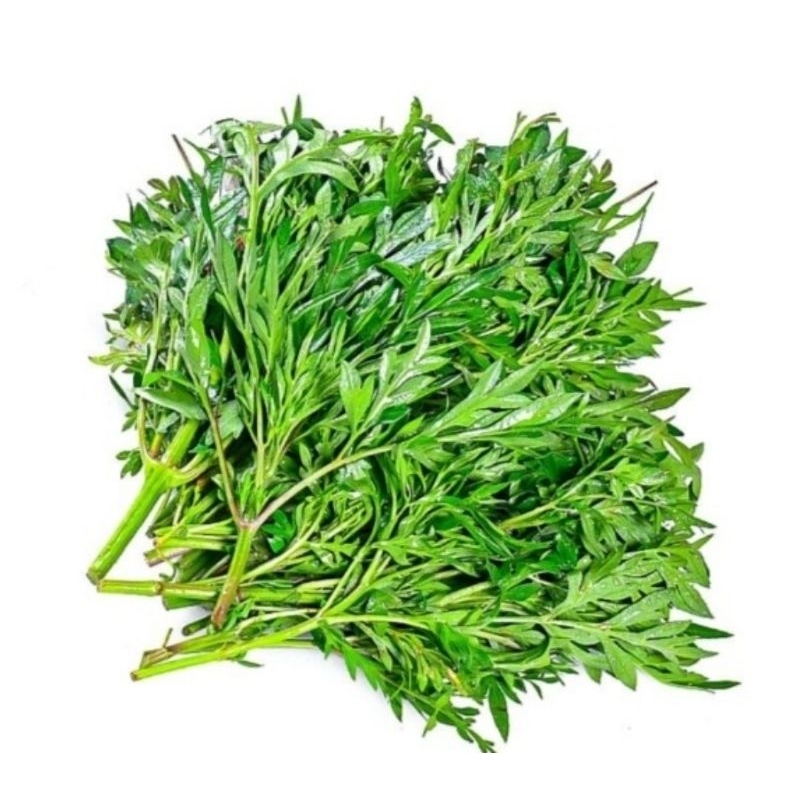 

Daun kenikir daun randamidang segar 1 kg