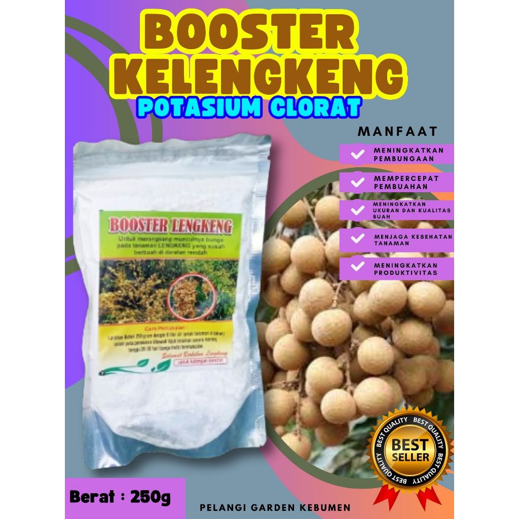 DIJAMIN ASLI  Booster Kelengkeng Berbuah, Booster Kelengkeng Berbunga, Booster Kelengkeng Cepat Berb