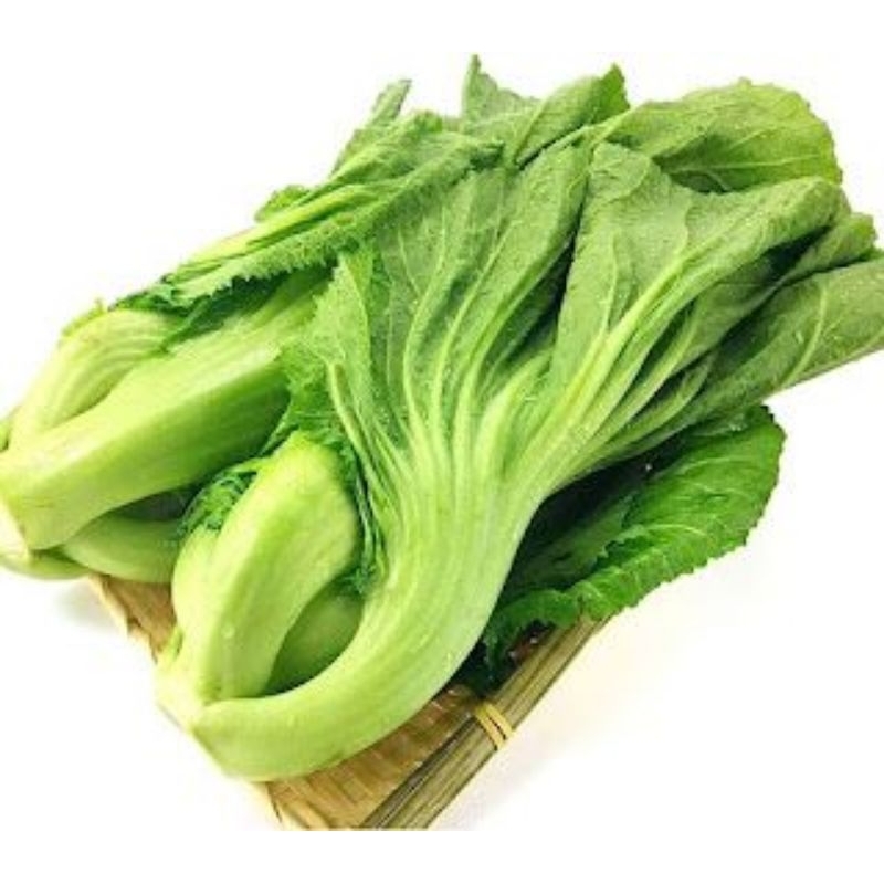 

100 Biji Sawi Pahit – Benih Sayur Tradisional, Tahan Panas & Cepat Panen