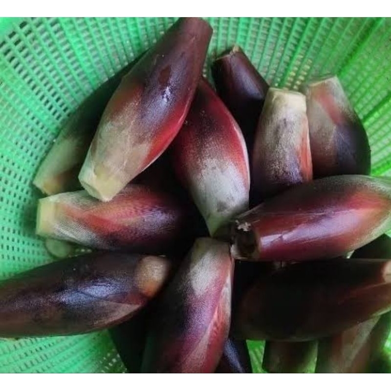 

Buah galoba segar buah pining bawang fresh 250 gram
