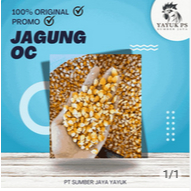 

JAGUNG OC OCE 1 kg Untuk Makanan Ternak