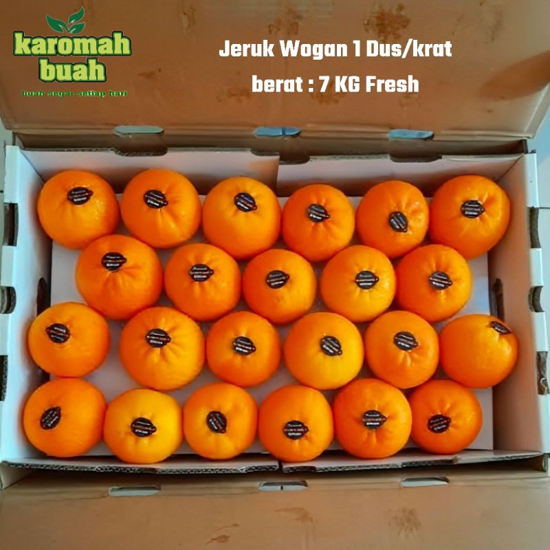 

JERUK WOGAN 1 KRAT BERAT 7KG FRESH MANIS ( JERUK WOGAN WOKAM IMPORT)