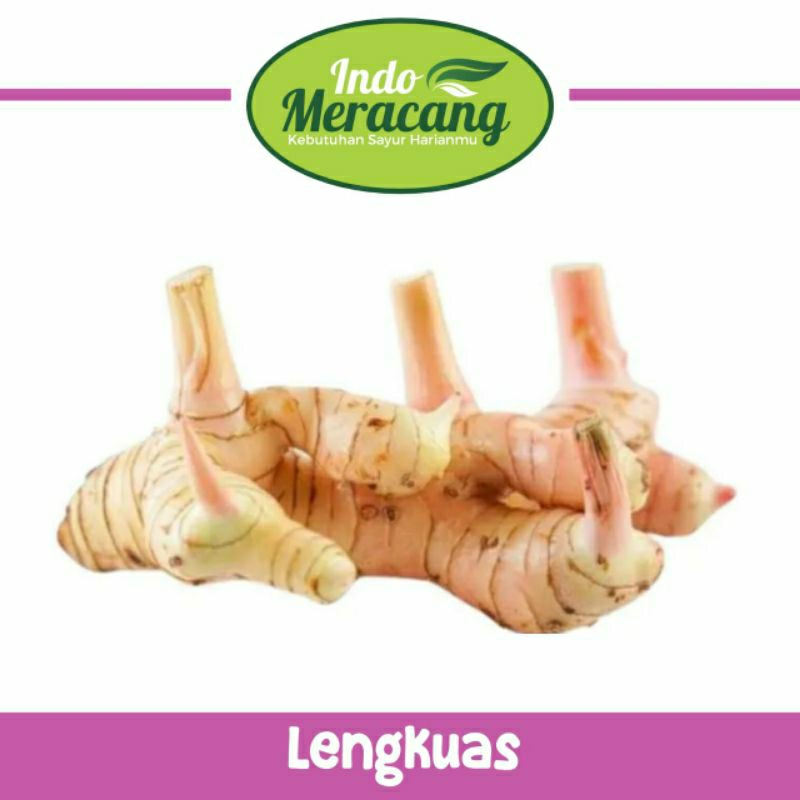 

LENGKUAS LAOS 250 GRAM