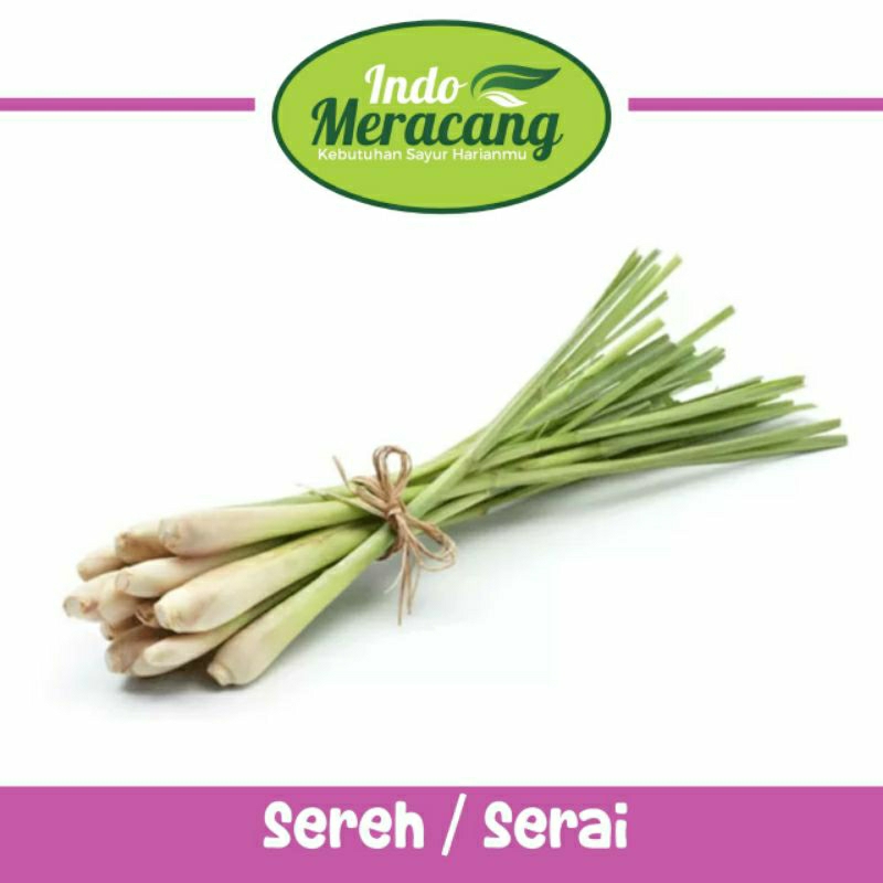 

DAUN SEREH DAUN SERAI /IKAT INDOMERACANG