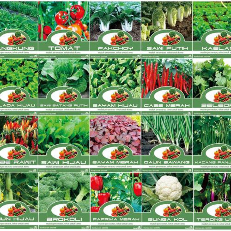 benih sayur dan buah / bibit sayur / biji tanaman