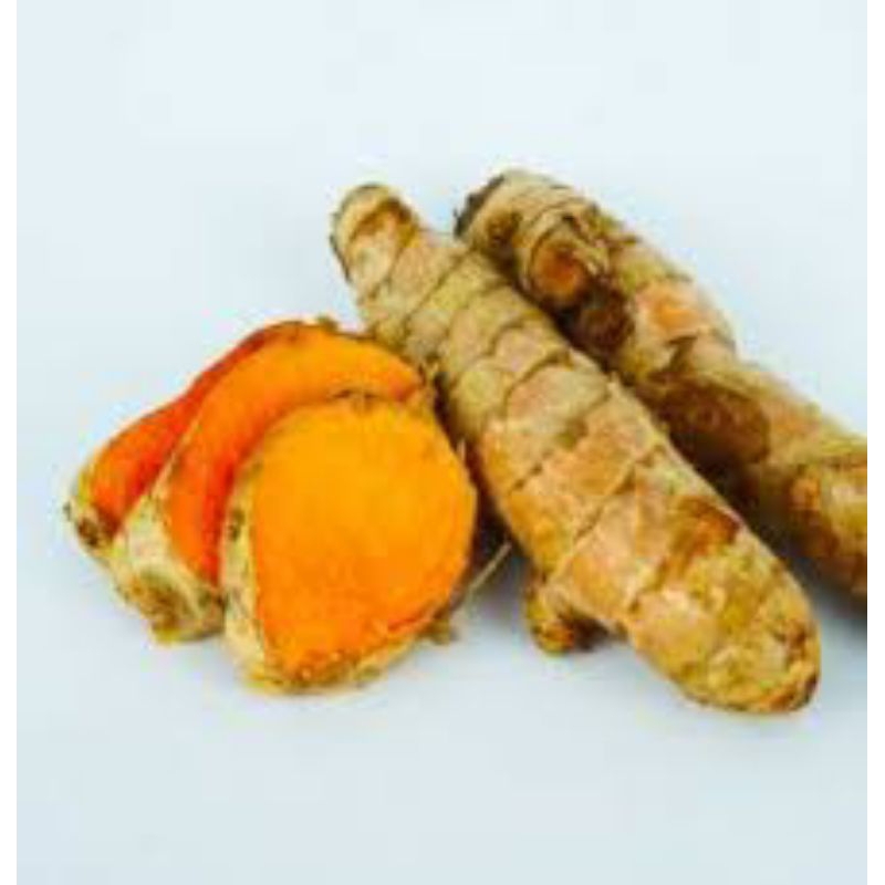 

500 gram kunyit koneng bumbu dapur segar