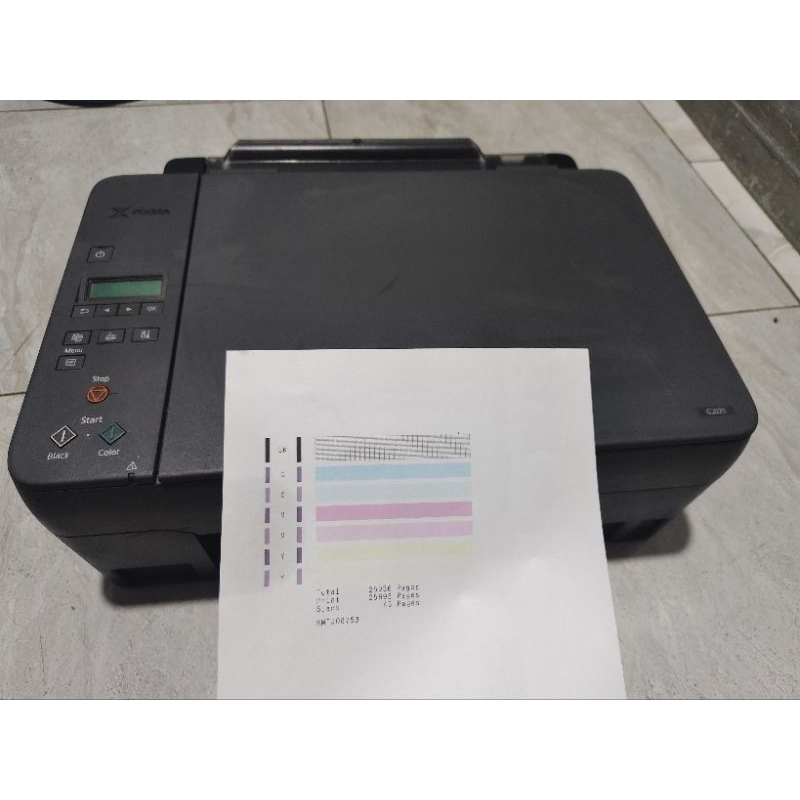 Printer Canon pixma G2020