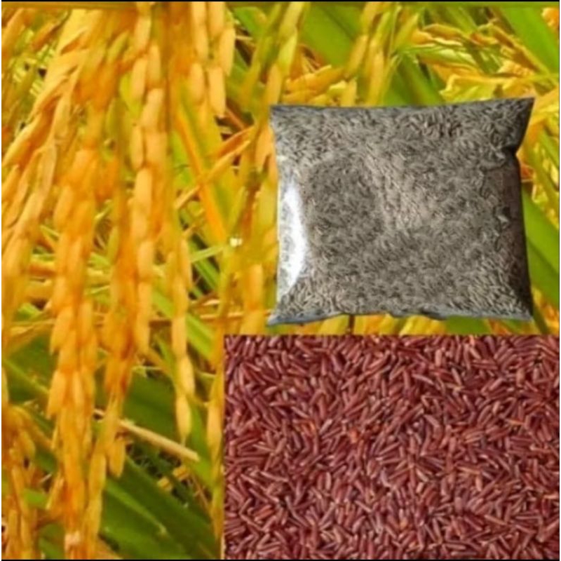 

jual padi unggul beras merah per 2kg