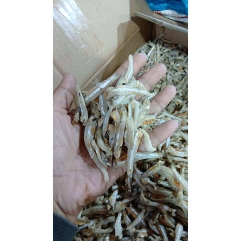 

ikan asin teri asli lampung 500gr
