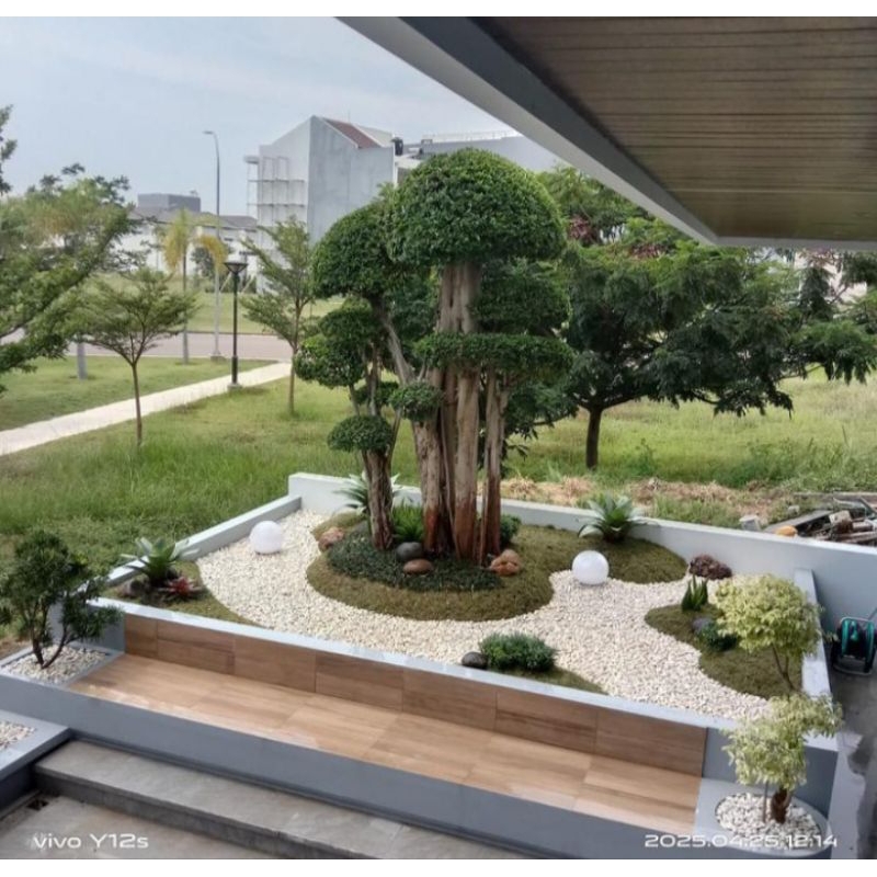 Taman Jepang minimalis hiasan taman bonsai