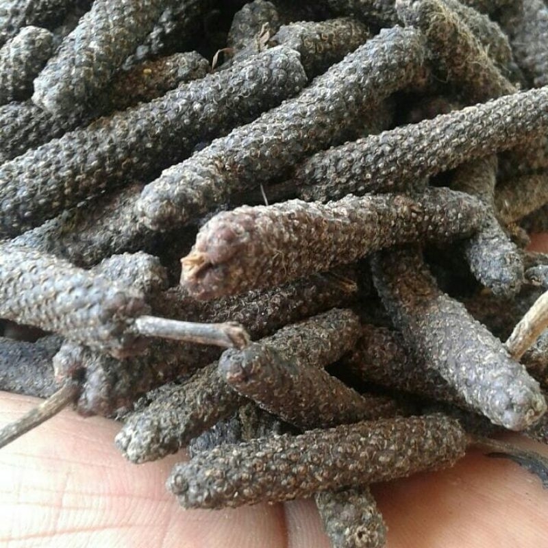 

Cabe Lempuyang Cabe Jamu Kering Kemasan 100gr Asli Dari Petani Jember