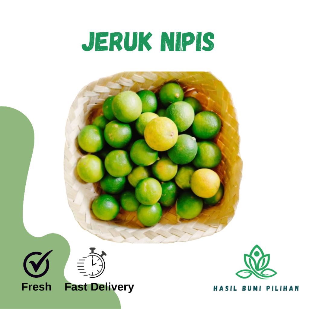 

Jeruk nipis segar langsung dari kebun | jeruk lemon nipis