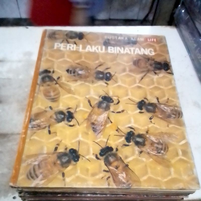 buku judul PERILAKU BINATANG