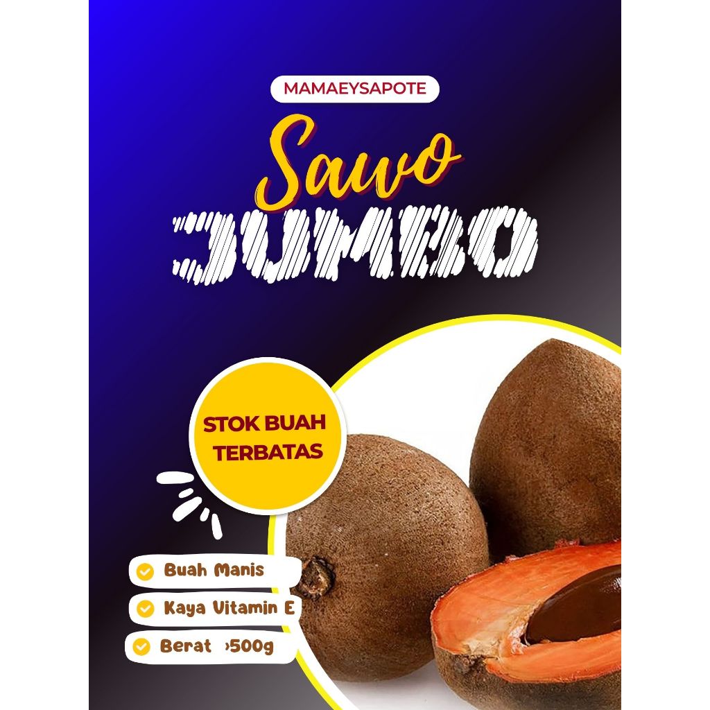 

BUAH LANGKA !! Buah Sawo Jumbo Mexico