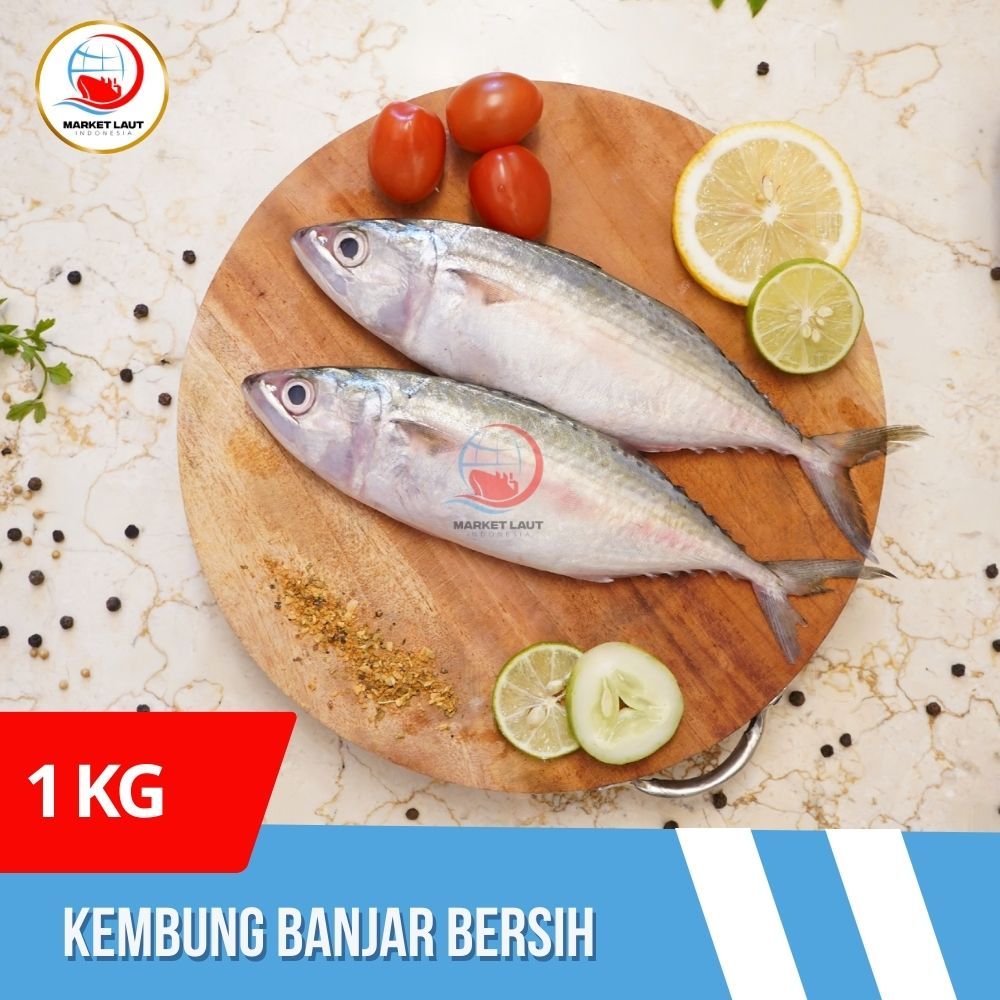 

Ikan Kembung Banjara Sedang 1 kg isi 4-6 Ekor / Ikan Kembung Bersih - Ikan Segar Makassar