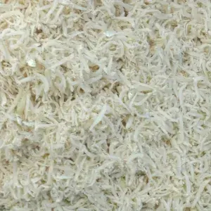 

teri medan