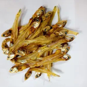 

lkan teri Padang tawar