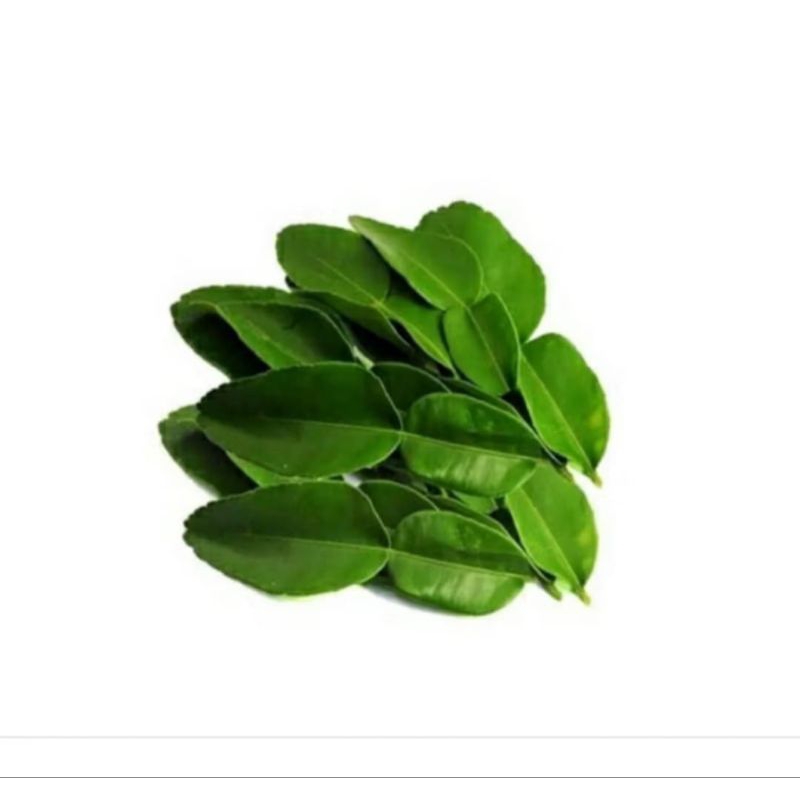 

Daun Jeruk Purut segar per 50gr