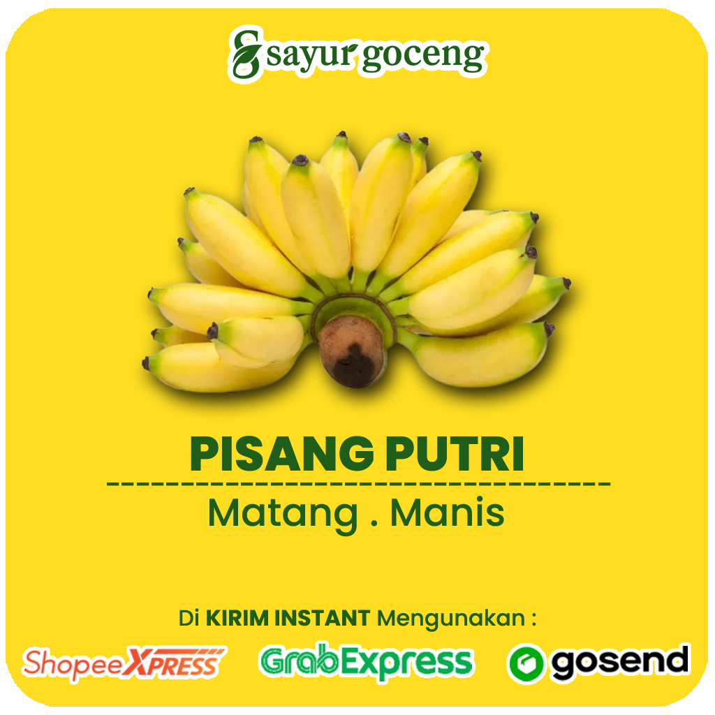 

Pisang Putri 1 Sisir Segar, Manis, Lembut, dan Bergizi untuk Keluarga – Sayur Goceng Palembang