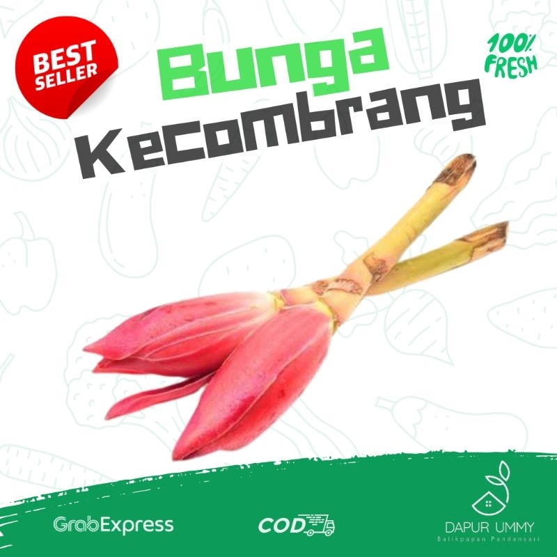 

SAYUR FRESH • Kecombrang